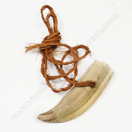 An old whale's tooth,